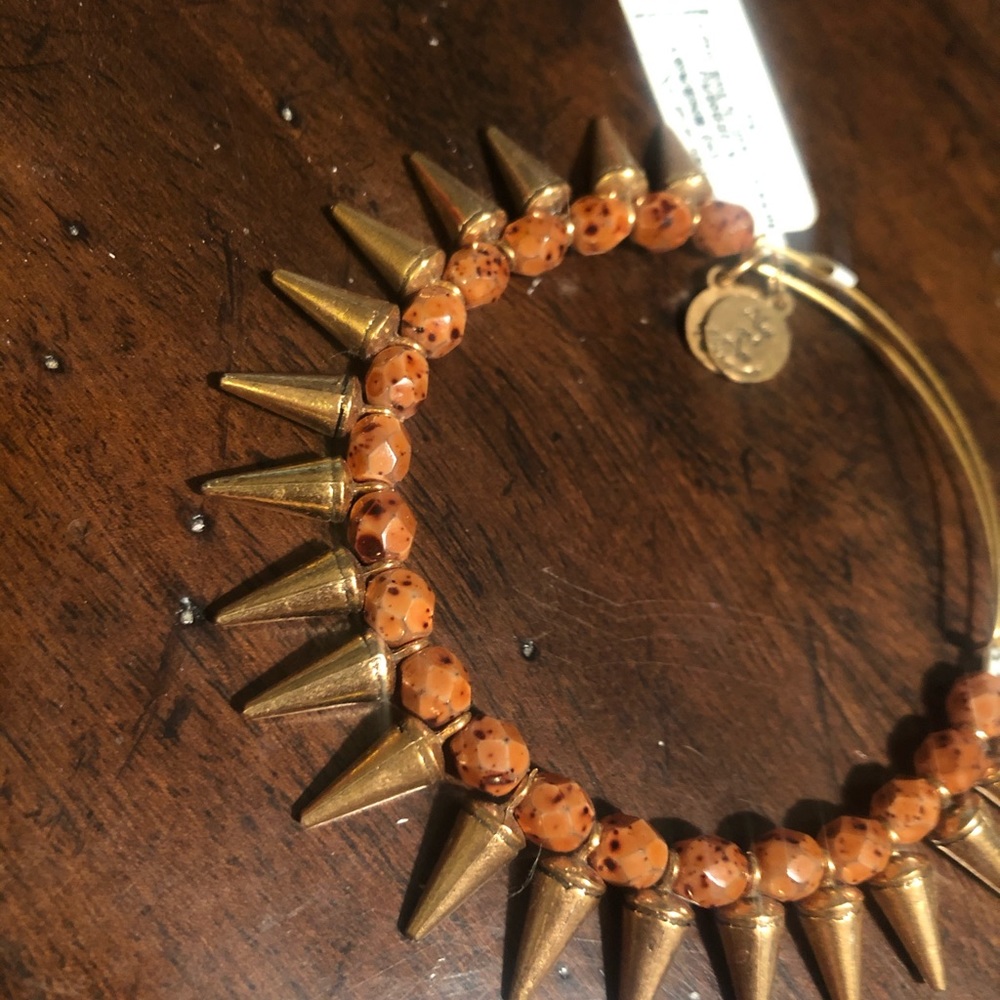 *Retired* Alex & Ani Spike of Creativity Bracelet